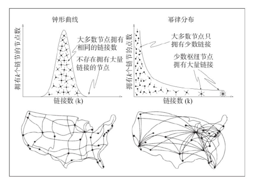 随机网络和无尺度网络.png